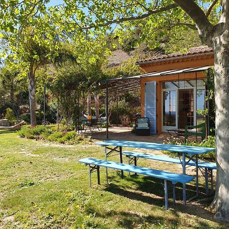 Villa House With Garden And Sea View La Londe-les-Maures Esterno foto