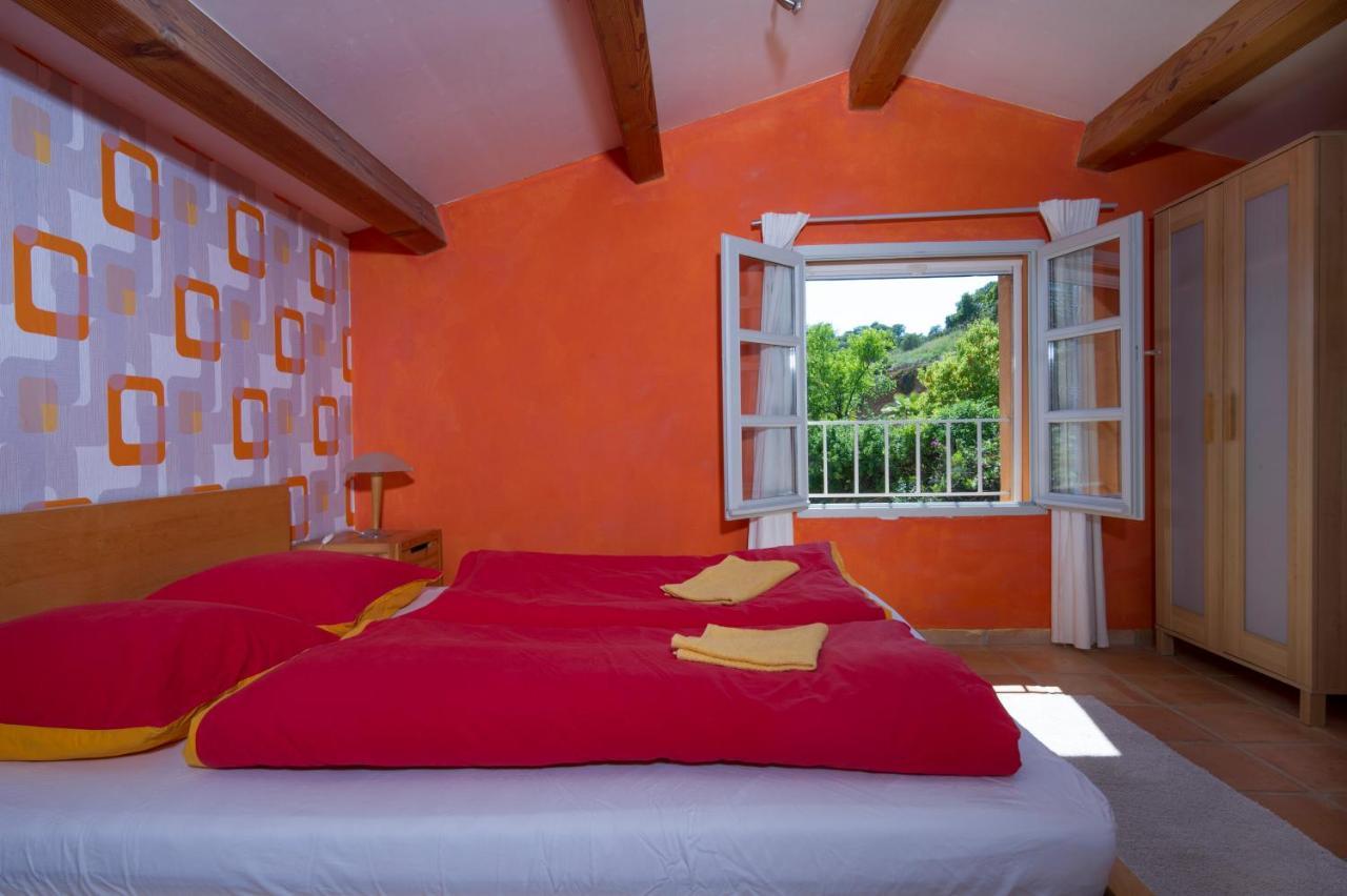 Villa House With Garden And Sea View La Londe-les-Maures Esterno foto