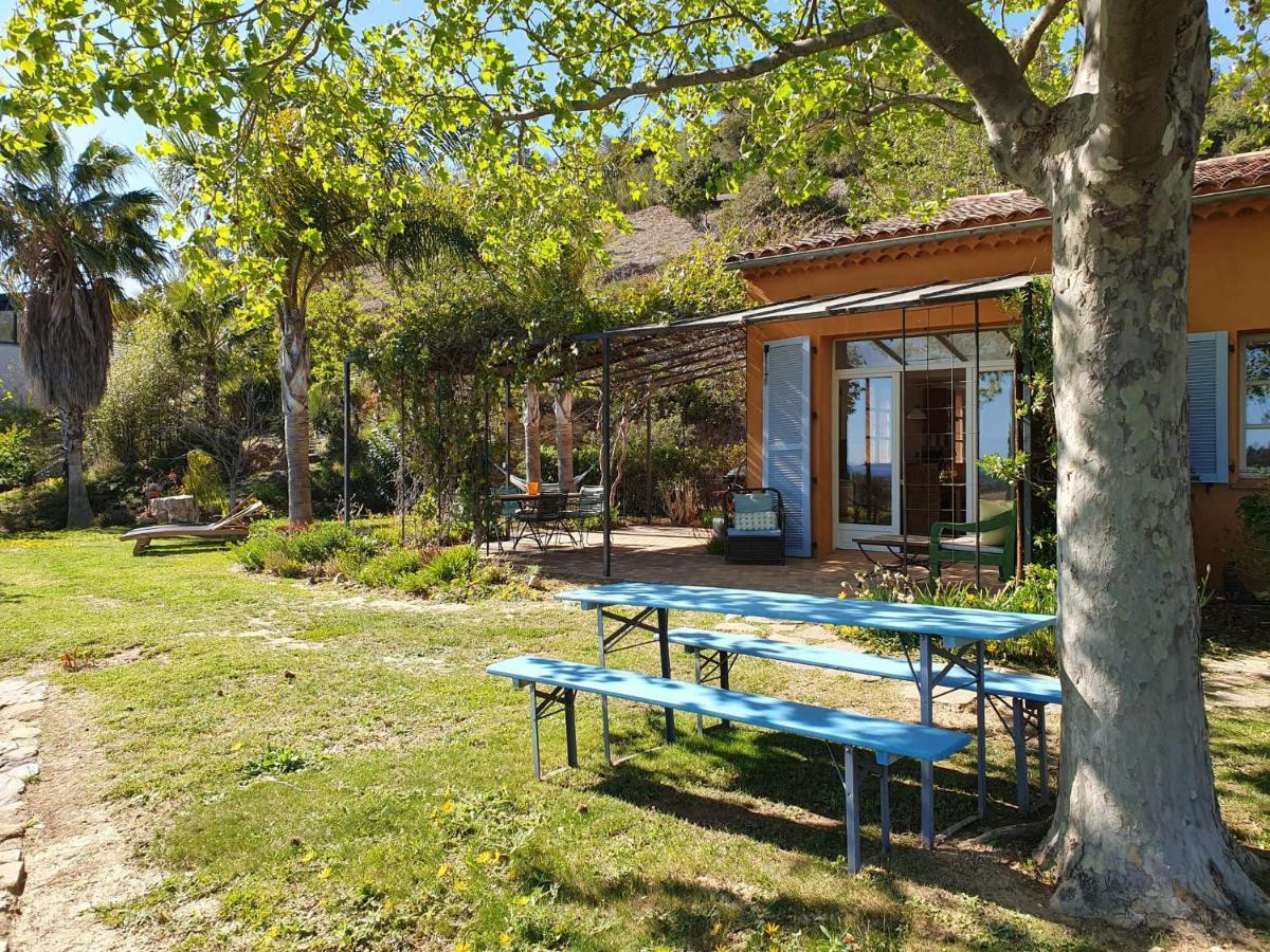 Villa House With Garden And Sea View La Londe-les-Maures Esterno foto
