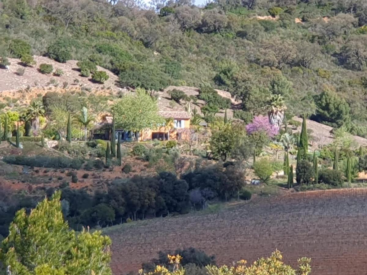 Villa House With Garden And Sea View La Londe-les-Maures Esterno foto