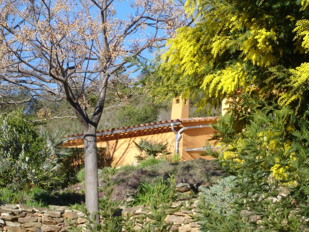 Villa House With Garden And Sea View La Londe-les-Maures Camera foto