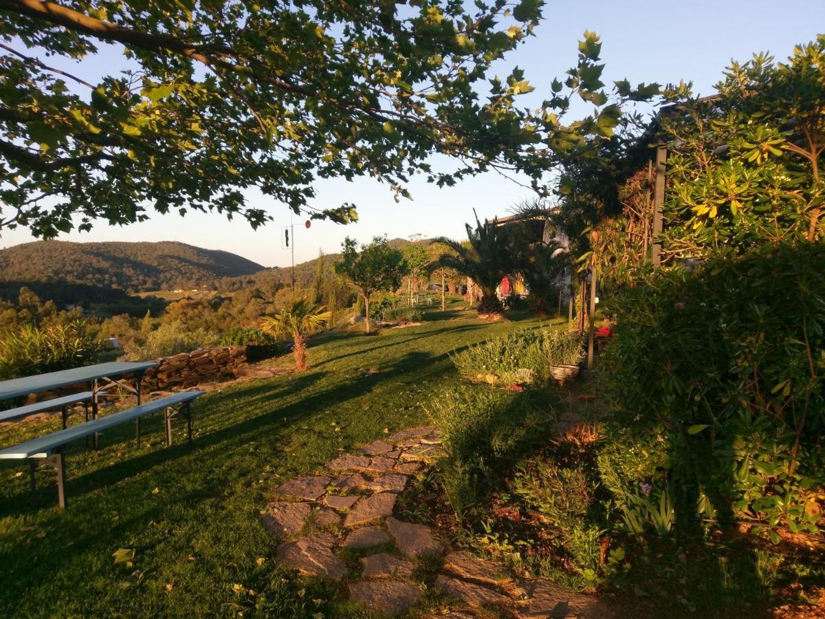 Villa House With Garden And Sea View La Londe-les-Maures Esterno foto
