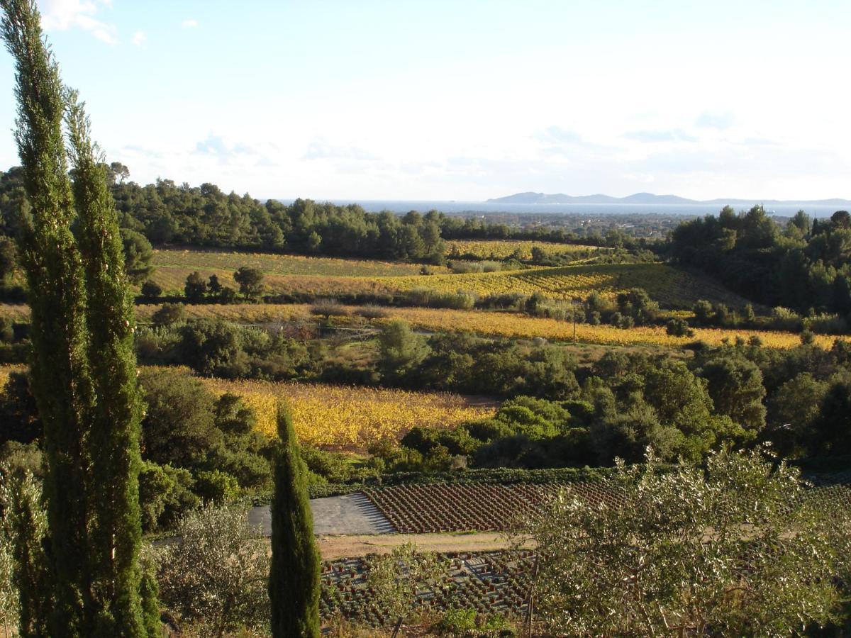 Villa House With Garden And Sea View La Londe-les-Maures Esterno foto
